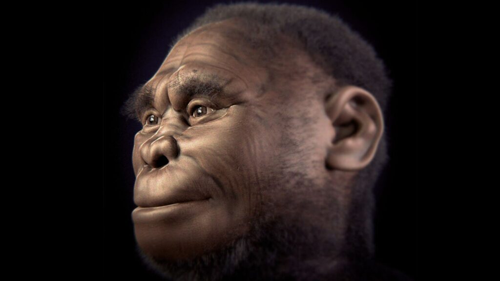 Mudanças climáticas e escassez de alimentos selaram o destino dos hobbits (Imagem: Cicero Moraes et al | CC BY 4.0)
