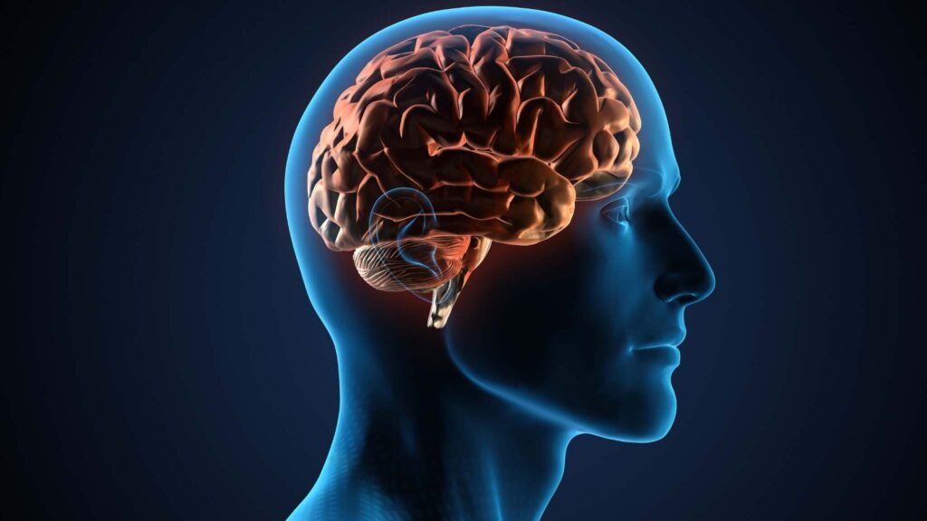 Pesquisadores brasileiros testam nova terapia inovadora para Alzheime (Imagem: Getty Images/ Canva Pro)