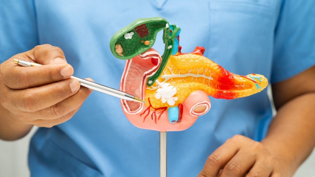 Pâncreas pode liberar sinais químicos detectáveis na respiração. (Foto: Pamai's Images via Canva)