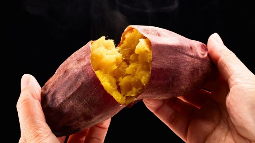 Sabor doce da batata-doce ajuda a controlar o açúcar. (Foto: Aflo via Canva)