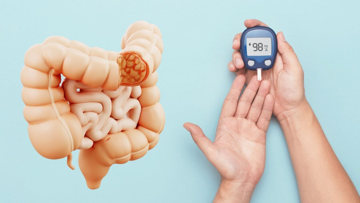 O intestino pode influenciar diretamente o controle da diabetes. (Foto: Proxima Studio e Creative Idea via Canva)