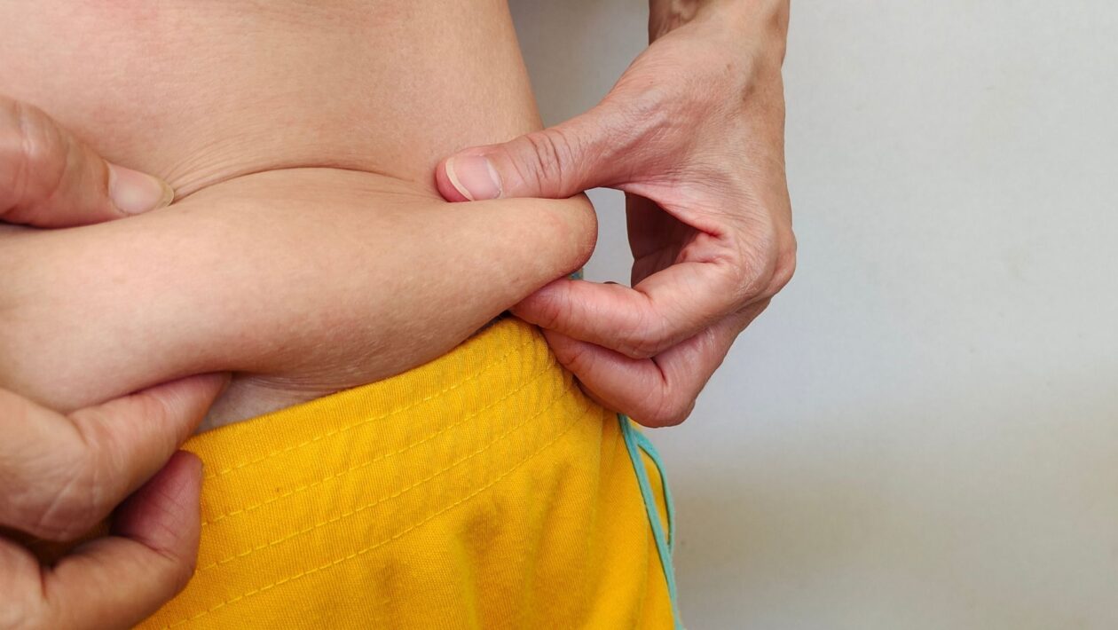 HSL regula a gordura dentro e fora das células adiposas. (Foto: Getty Images via Canva)