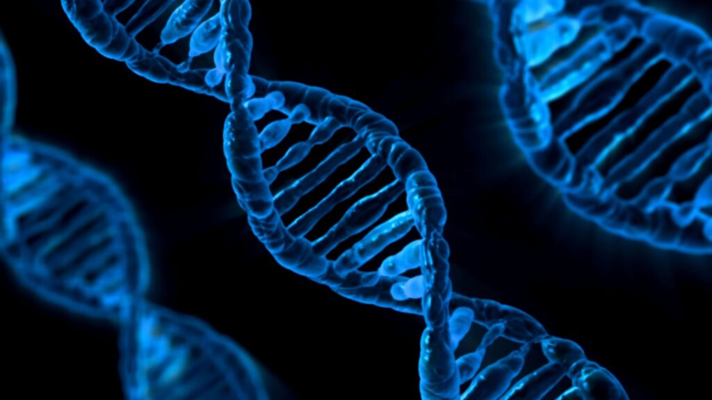 GRIN2A explica início precoce de transtornos mentais. (Foto: Ali Raza via Canva)