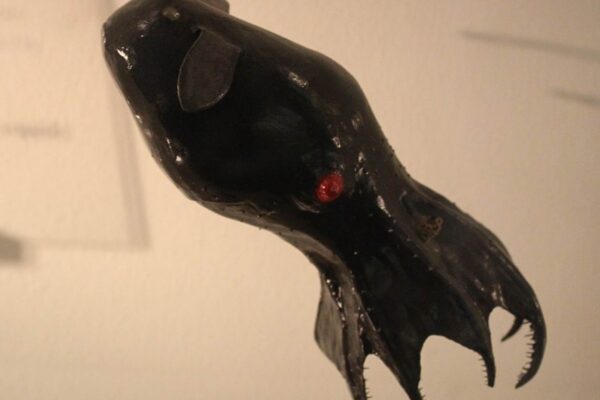 Genoma gigante da lula-vampiro revela segredos antigos dos cefalópodes (Imagem: Emőke Dénes/ Wikimedia Commons)