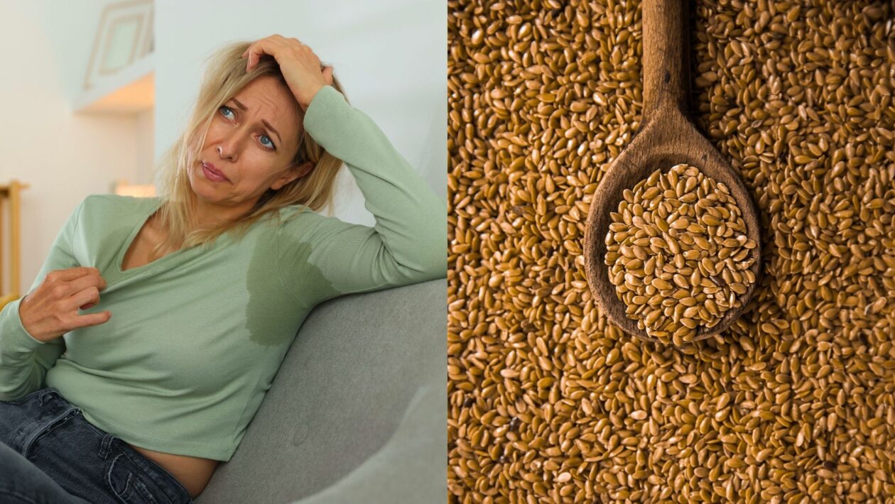 Semente rica em lignanas ajuda no equilíbrio hormonal. (Foto: Africa Images e Getty Images via Canva)