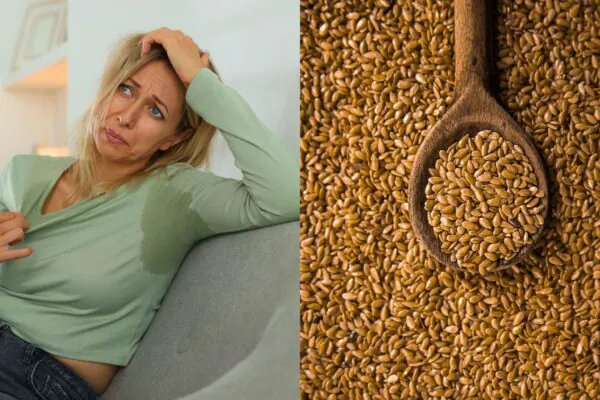 Semente rica em lignanas ajuda no equilíbrio hormonal. (Foto: Africa Images e Getty Images via Canva)