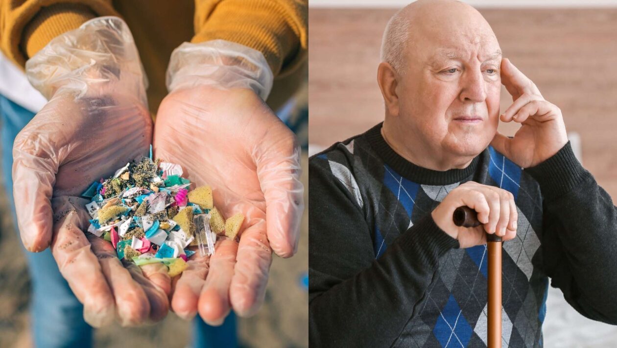 Microplásticos podem prejudicar o cérebro e acelerar doenças graves. (Imagem: Getty Images/Pixelshot)