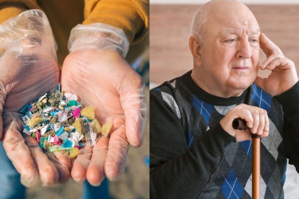 Microplásticos podem prejudicar o cérebro e acelerar doenças graves. (Imagem: Getty Images/Pixelshot)
