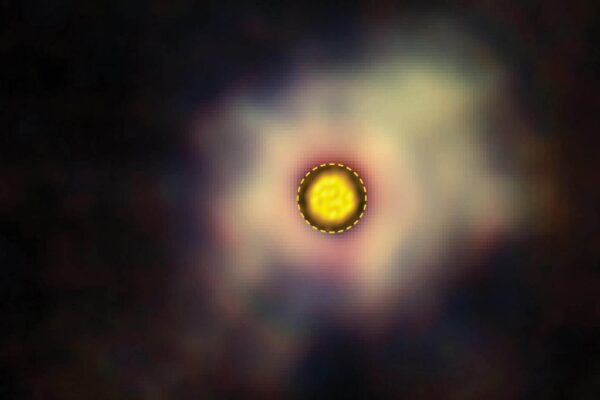 Ventos estelares de R Doradus revelam mistérios da vida cósmica (Imagem: ESO/T. Schirmer/T. Khouri; ALMA (ESO/NAOJ/NRAO))