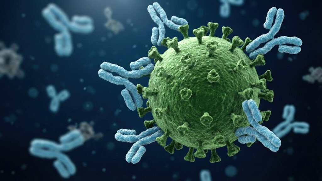 Células imunes eficientes podem impedir sintomas da dengue. (Foto: Tinttrex via Canva)