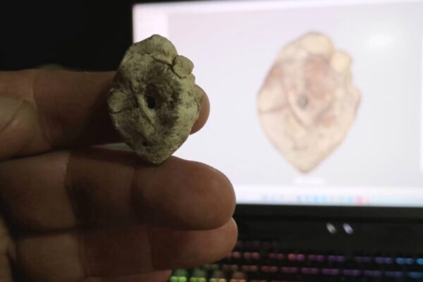 Fóssil de titanossauro revela passado pré-histórico de Corrientes. (Foto: Divulgação / Unne Medios)