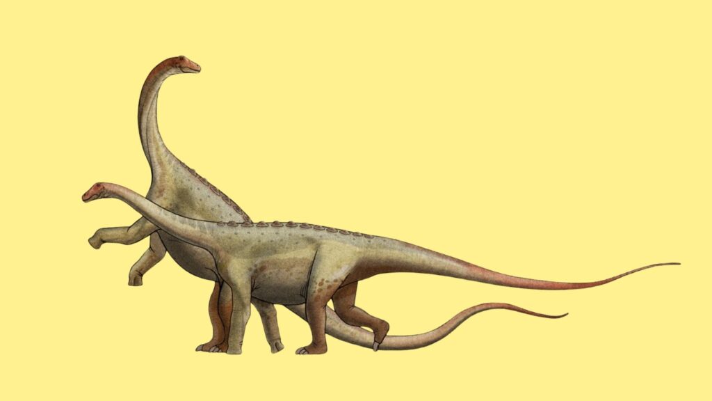 Titanossauro indica ecossistemas ricos no Cretáceo argentino. (Foto: Divulgação / Unne Medios)