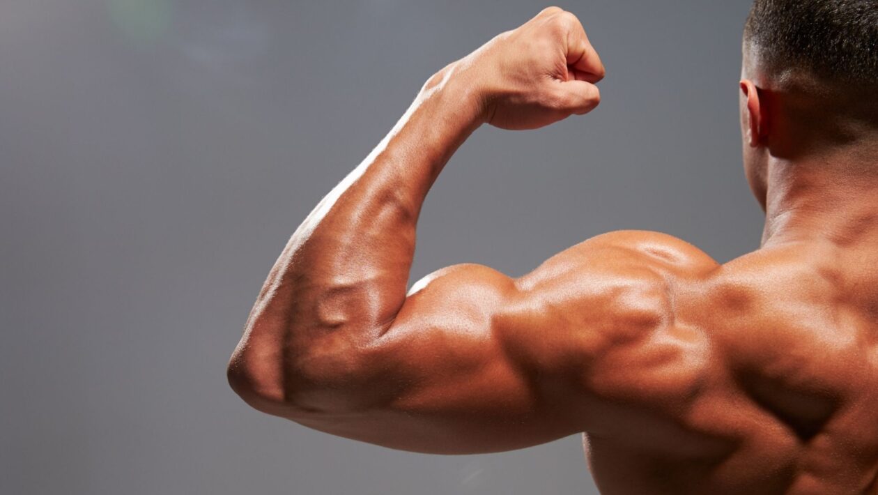 Ausência da proteína pode reduzir ganho muscular em adultos. (Foto: Business Images via Canva)