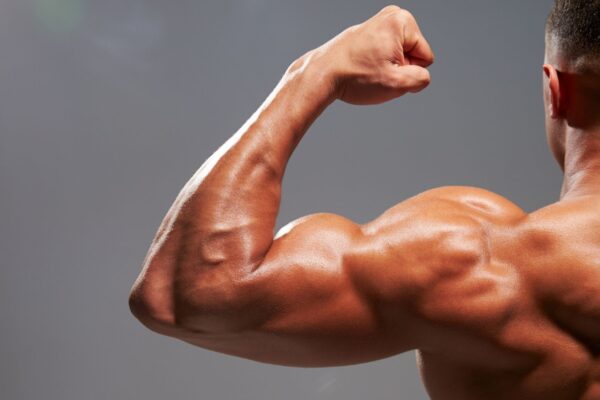 Ausência da proteína pode reduzir ganho muscular em adultos. (Foto: Business Images via Canva)