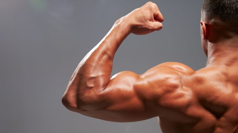 Ausência da proteína pode reduzir ganho muscular em adultos. (Foto: Business Images via Canva)