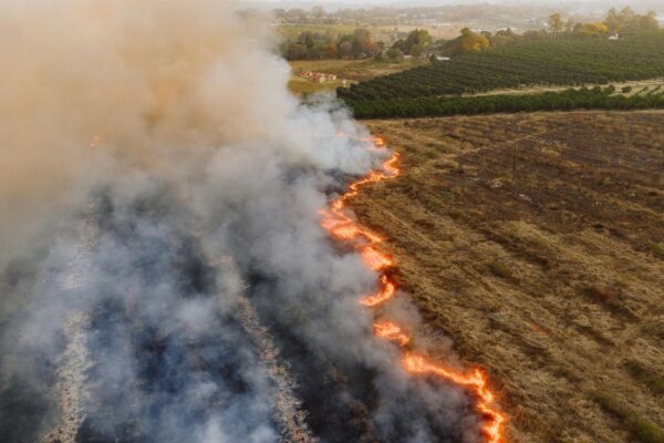 Mudanças climáticas aumentam risco de novos vírus emergentes. (Foto: Pexels via Canva)