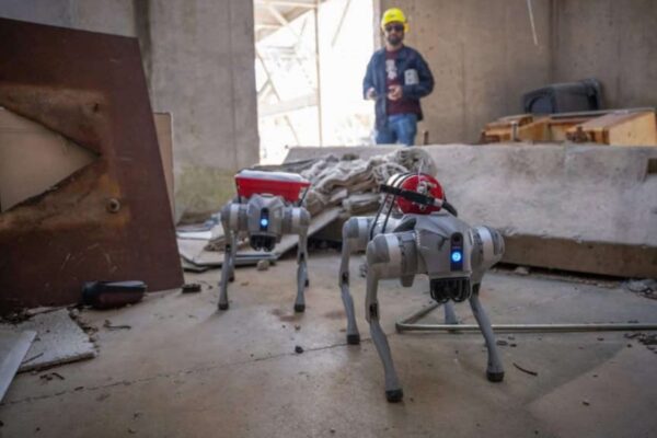 Robô-cão com IA navega, aprende rotas e atua em resgates complexos. (Imagem: Logan Jinks/Texas A&M Engineering)