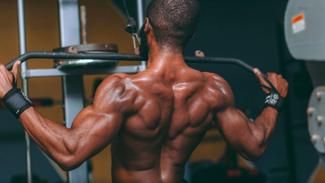 Gordura intramuscular bloqueia a recuperação do músculo. (Foto: Pexels via Canva)