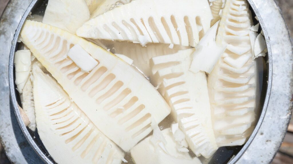 Nutrientes do bambu protegem coração e metabolismo. (Foto: Aflo via Canva)