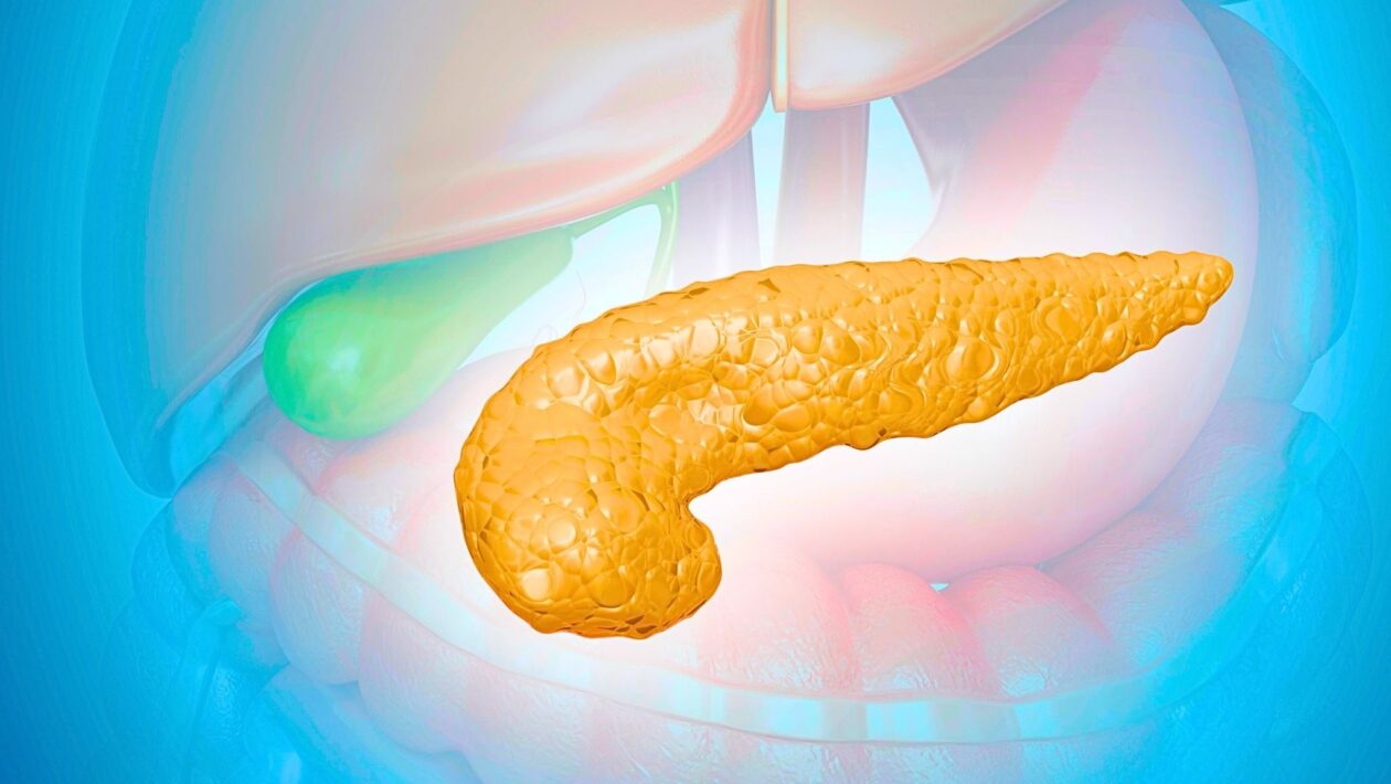 Periostina facilita a invasão do câncer de pâncreas. (Foto: Photo Library via Canva)