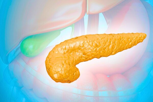 Periostina facilita a invasão do câncer de pâncreas. (Foto: Photo Library via Canva)