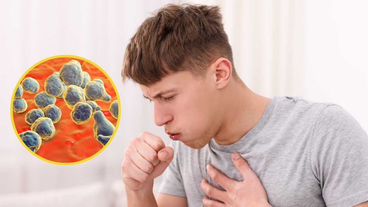 Butirolactol A torna fungos resistentes vulneráveis a medicamentos. (Foto: Africa Images e Photo Library via Canva)