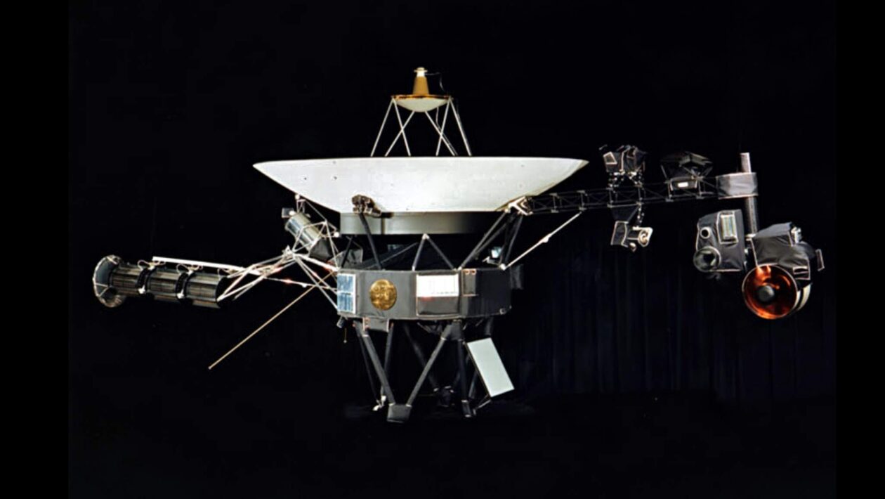 Voyager 1 chega a 1 dia-luz da Terra em marco histórico espacial (Imagem: NASA/JPL-Caltech)