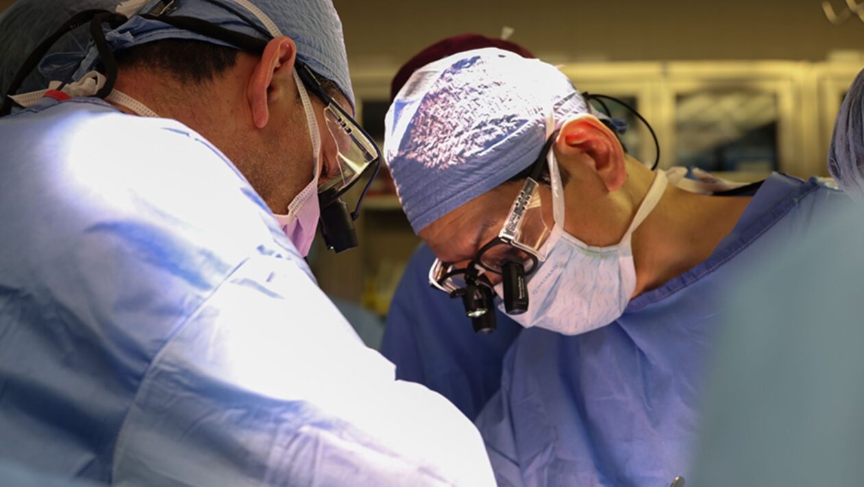 Xenotransplante renal mostra desafios da rejeição imunológica. (Foto: Divulgação / Massachusetts General Hospital)