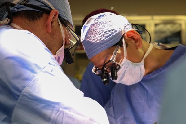 Xenotransplante renal mostra desafios da rejeição imunológica. (Foto: Divulgação / Massachusetts General Hospital)