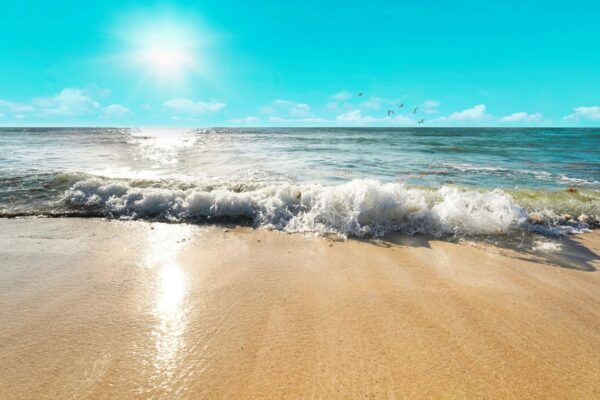 Oceanos atingem calor recorde em 2025 e alertam cientistas (Imagem: Getty Images/ Canva Pro)