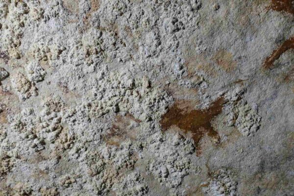 Estêncil de 67.800 anos revela migração humana para a Austrália (Imagem: Max Aubert)