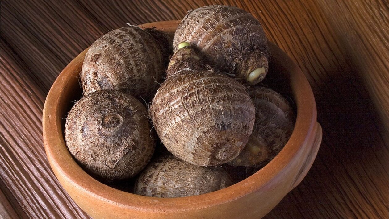 Estudo aponta ação anti-inflamatória do inhame. (Foto: Getty Images via Canva)