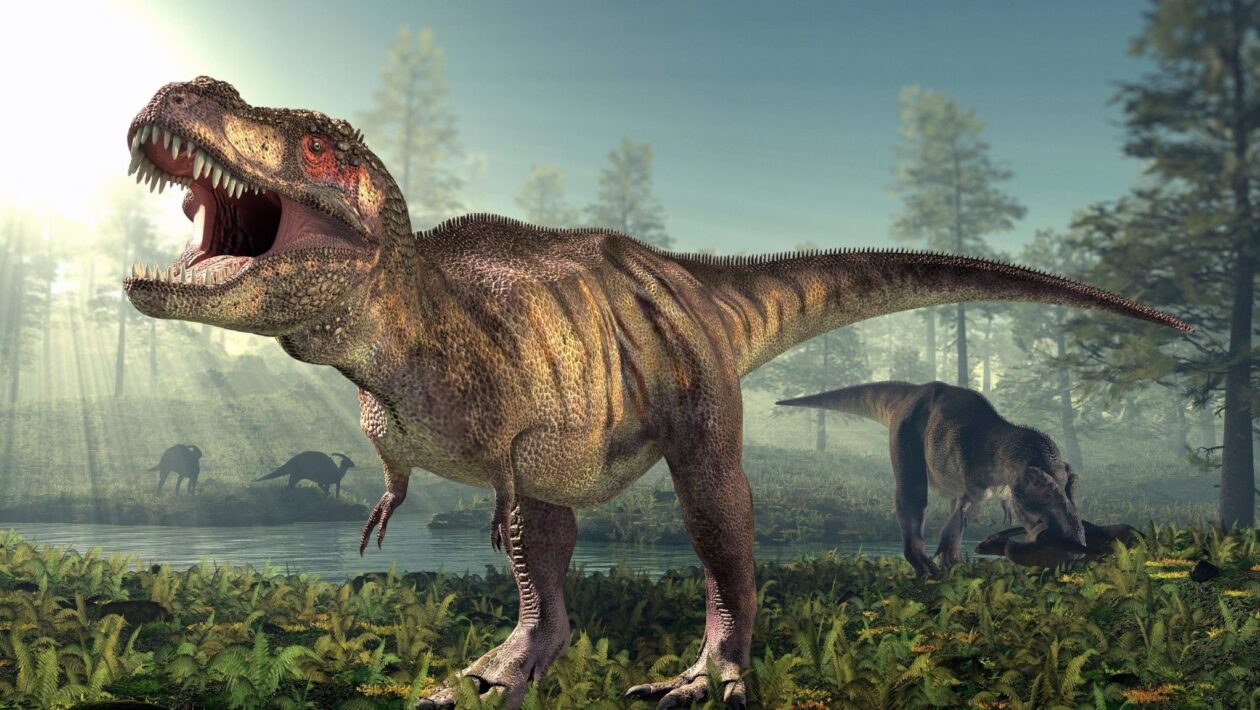 T. rex levava 40 anos para atingir tamanho adulto. (Foto: Photo Library via Canva)