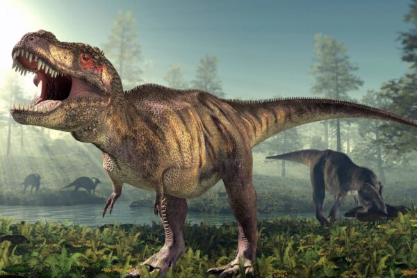 T. rex levava 40 anos para atingir tamanho adulto. (Foto: Photo Library via Canva)