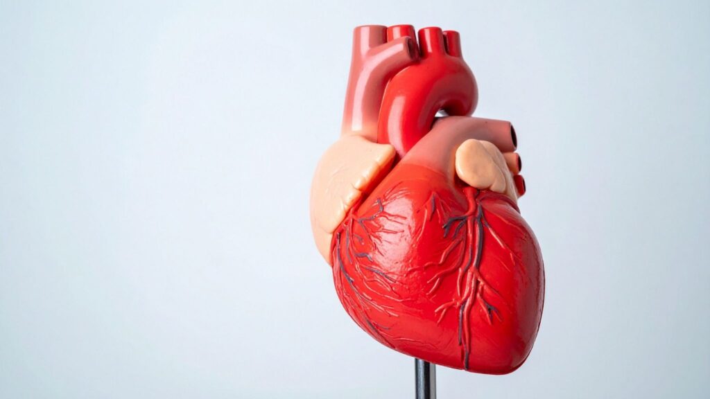 Diabetes acelera fibrose e falência cardíaca silenciosa. (Foto: True Creatives via Canva)