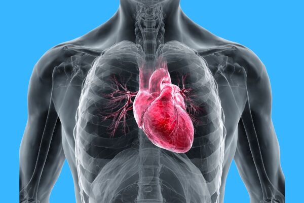 Diabetes tipo 2 altera a estrutura e a energia do coração. (Foto: Rooro Jhong Rhang via Canva)