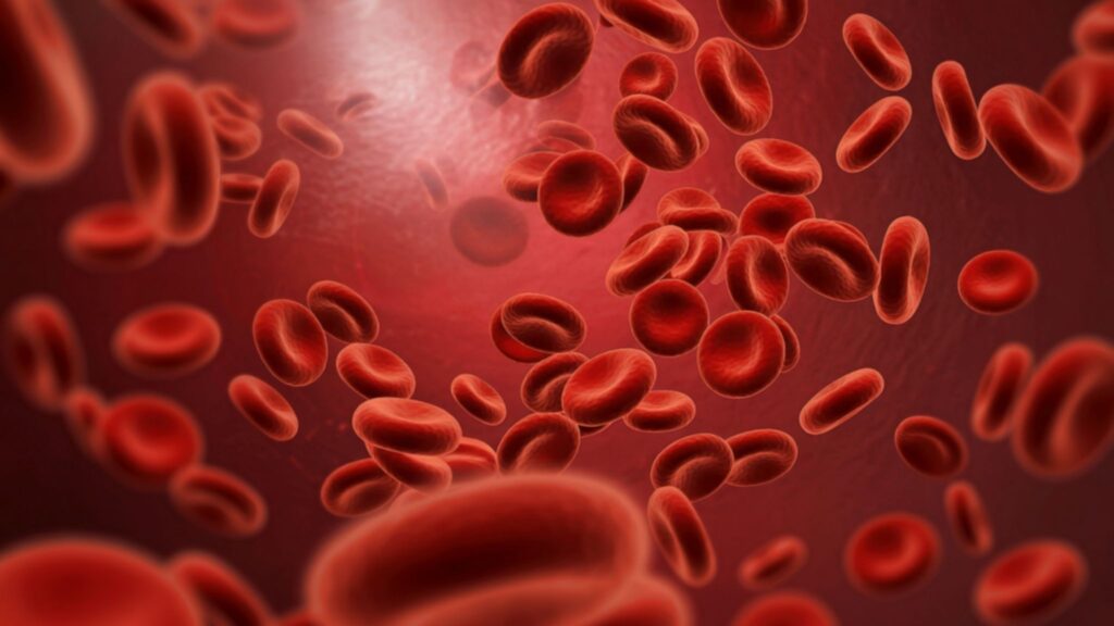 Avanço genético mira tratamento da anemia falciforme. (Foto: Casiana Malaia via Canva)