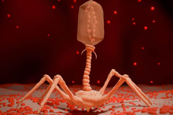 Cientistas criam vírus sintético para combater superbactérias (Imagem: TeacherX555 via Canva)