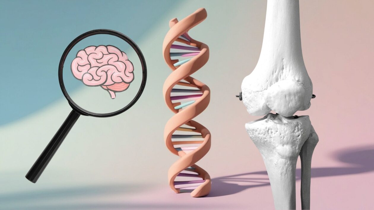 Genes ligam esquizofrenia à perda de densidade óssea. (Foto: Pixelshot, Alemedia.id e Pexels via Canva)