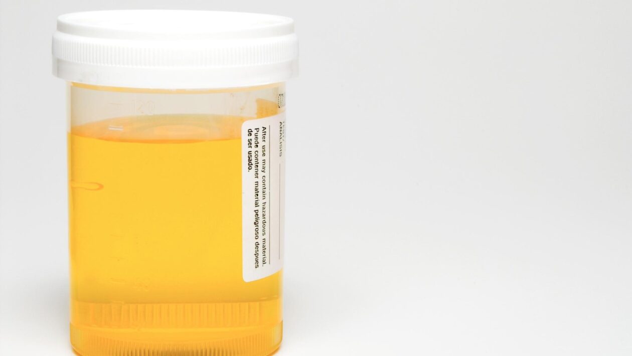 Reciclar urina pode salvar a agricultura e reduzir impactos ambientais. (Imagem: Getty Images/ Canva Pro)