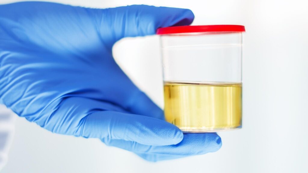 Fertilizantes humanos: solução sustentável para a crise de alimentos. (Imagem: Getty Images/ Canva Pro)