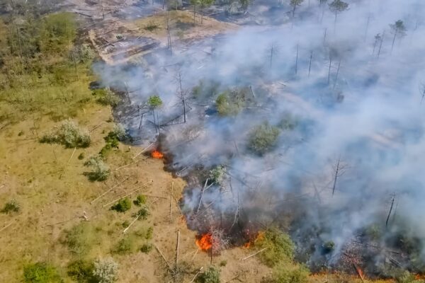 Partículas da fumaça afetam vasos e cérebro. (Foto: Getty Images via Canva)