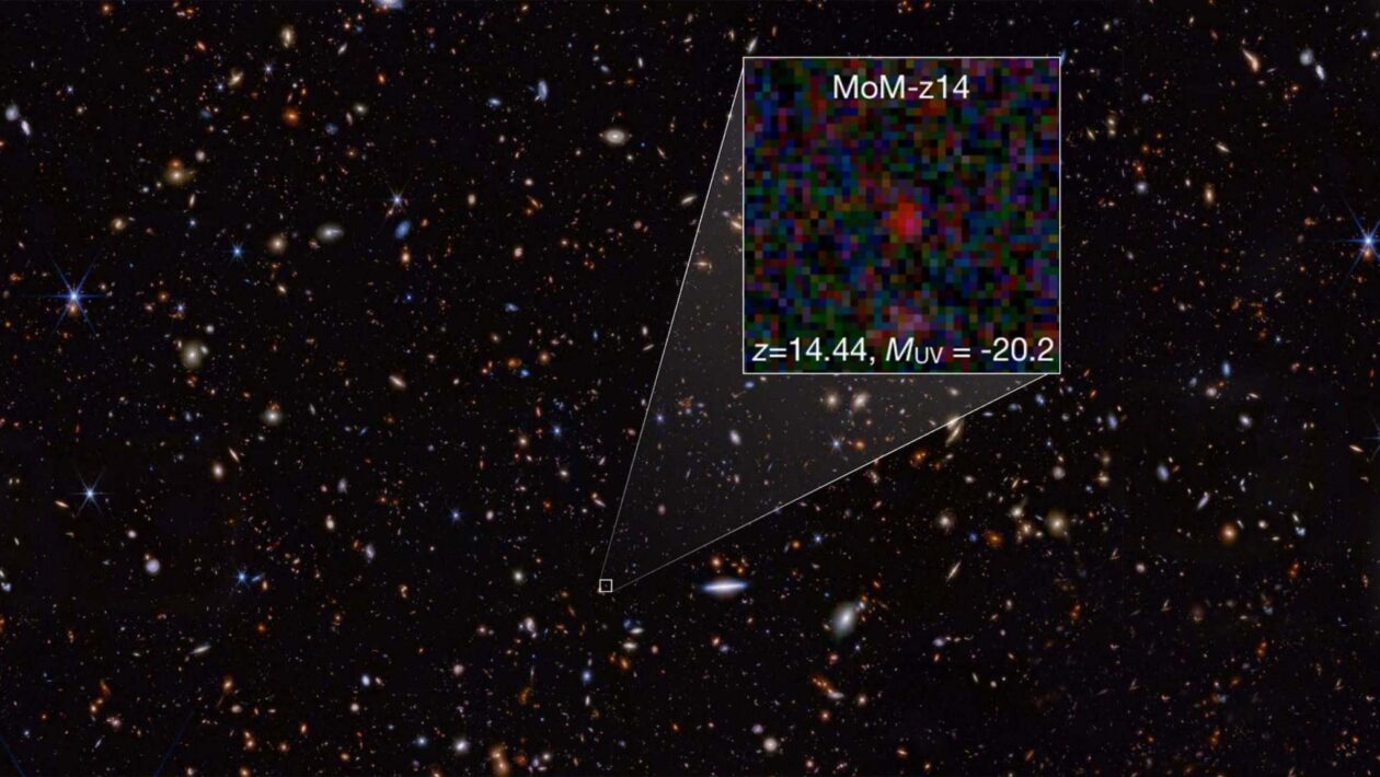 MoM-z14 revela como eram as primeiras galáxias após o Big Bang (Imagem: Rohan P. Naidu et al. / NASA / JWST)