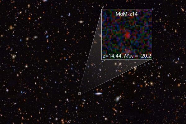 MoM-z14 revela como eram as primeiras galáxias após o Big Bang (Imagem: Rohan P. Naidu et al. / NASA / JWST)