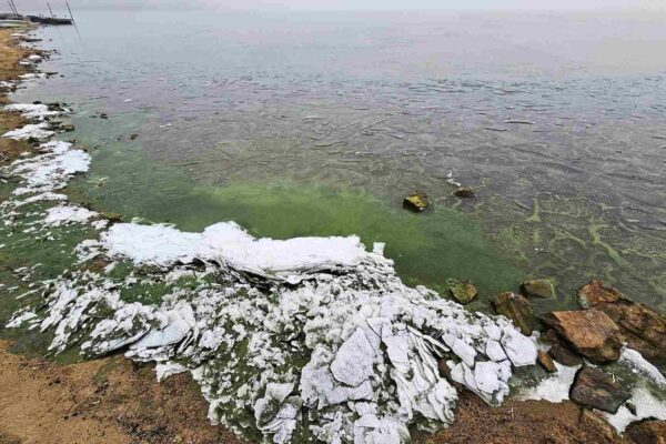 Gelo verde no Lago Lipno revela cianobactérias no inverno (Imagem: Petr Znachor, BC CAS)