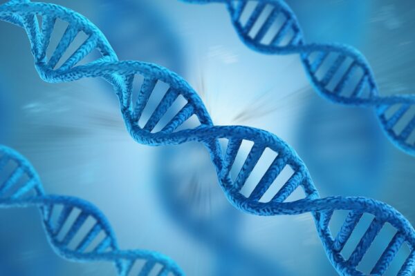 Gene comum pode explicar por que o Alzheimer é tão frequente. (Foto: PhonlamaiPhoto's Images via Canva)