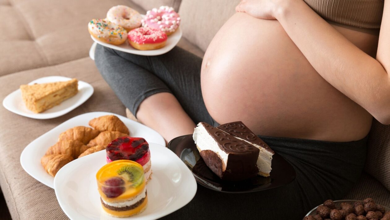 Dieta materna influencia a microbiota e a imunidade dos filhos. (Foto: Mykolasosiukin via Canva)