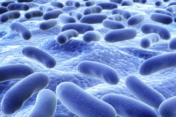 Nanoplásticos tornam biofilmes bacterianos mais fortes e resistentes (Imagem: Getty Images/ Canva Pro)