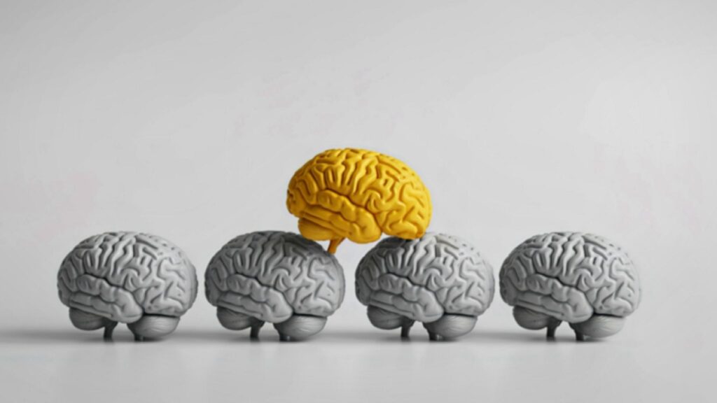 Minicérebros ajudam a estudar doença neurológica rara. (Foto: Gavrila's Images via Canva)