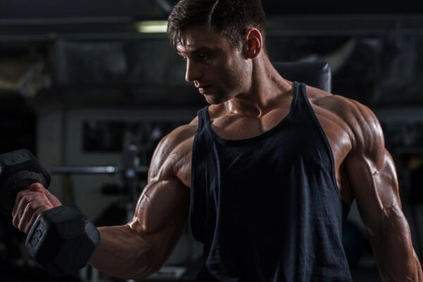 Memória muscular registra força e desuso ao longo do tempo. (Foto: Getty Images via Canva)